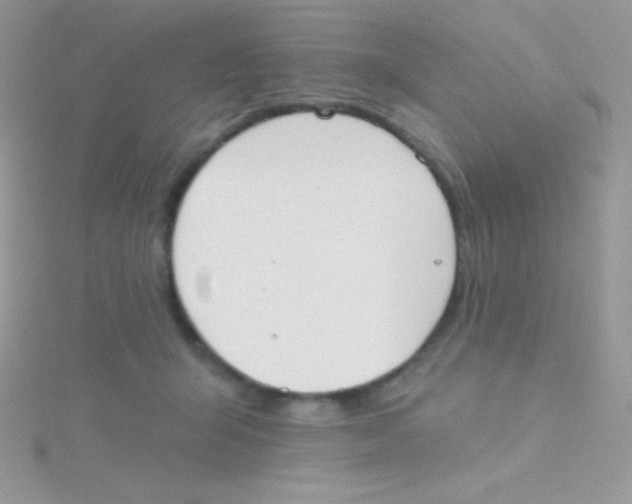 X0000115050415200911231157