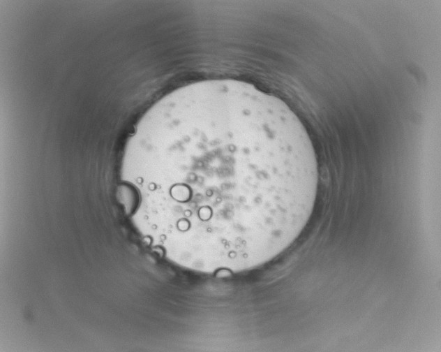 X0000115050416200911231157