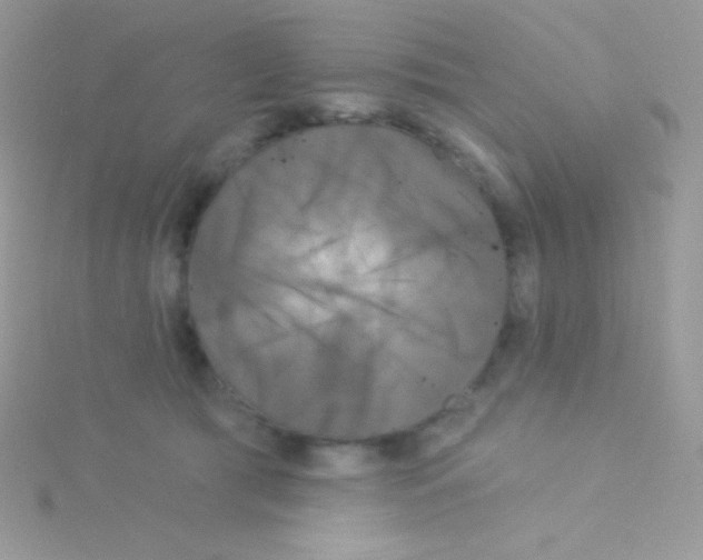 X0000115050417200911231157