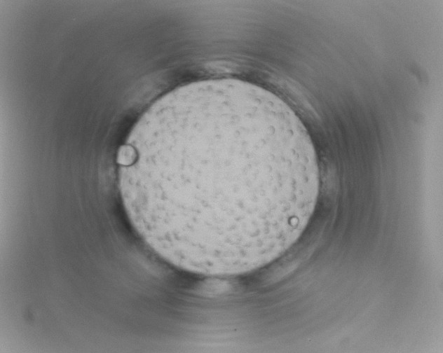 X0000115050418200911231157