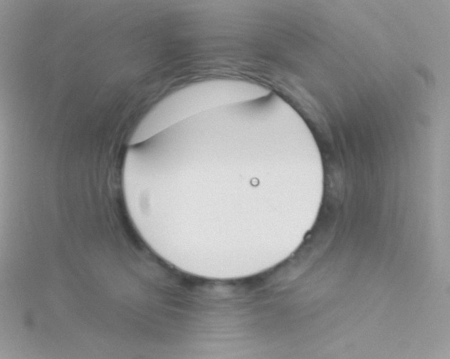 X0000115050419200911231157