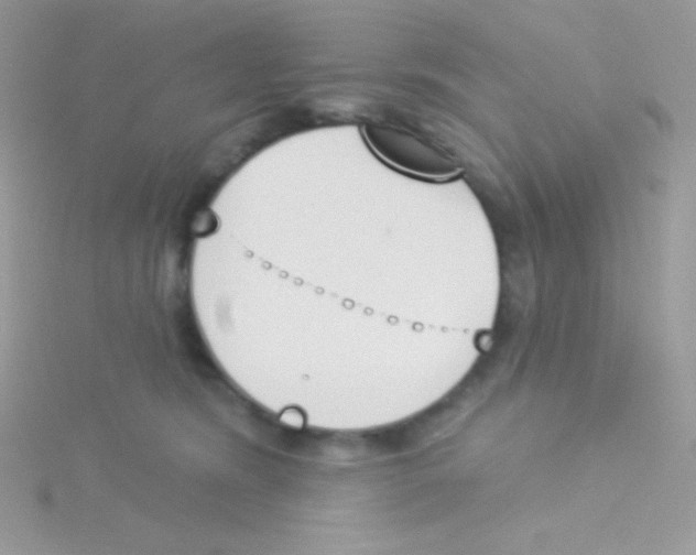 X0000115050420200911231157