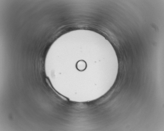 X0000115050421200911231157