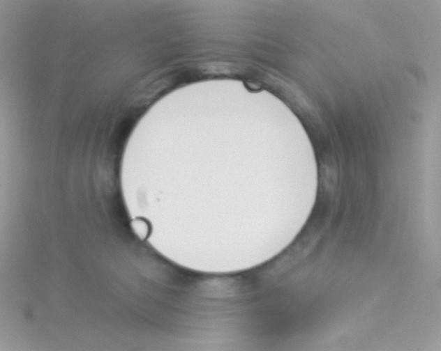 X0000115050422200911231157