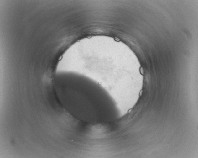 X0000115050423200911231157