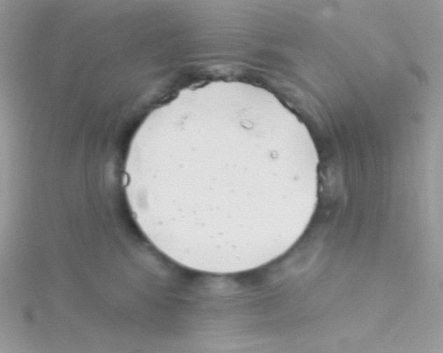 X0000115050424200911231157