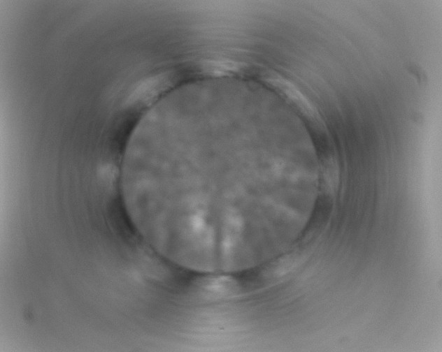 X0000115050427200911231157