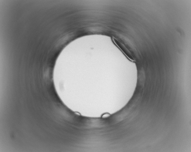 X0000115050428200911231157