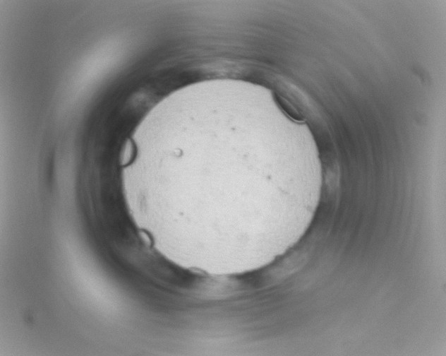 X0000115050429200911231157