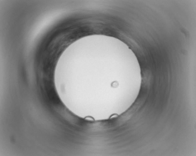 X0000115050430200911231157