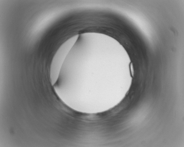 X0000115050431200911231157