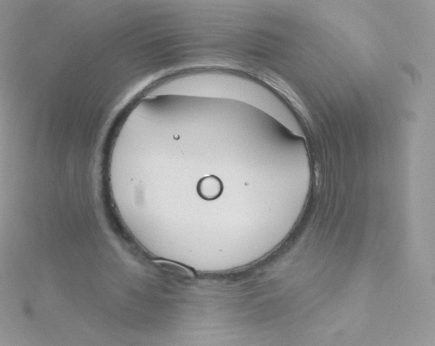 X0000115050436200911231157