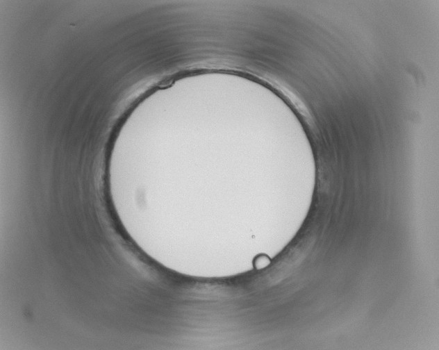 X0000115050437200911231157