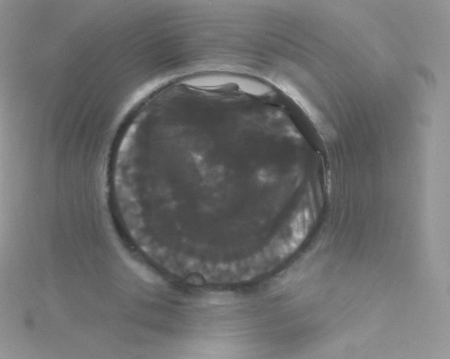 X0000115050438200911231157