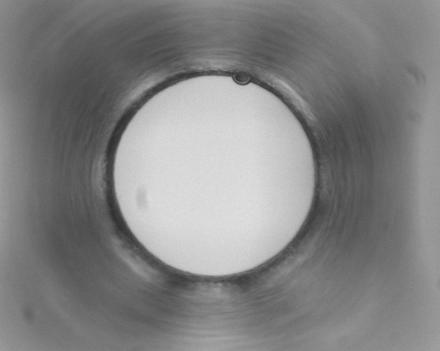 X0000115050439200911231157