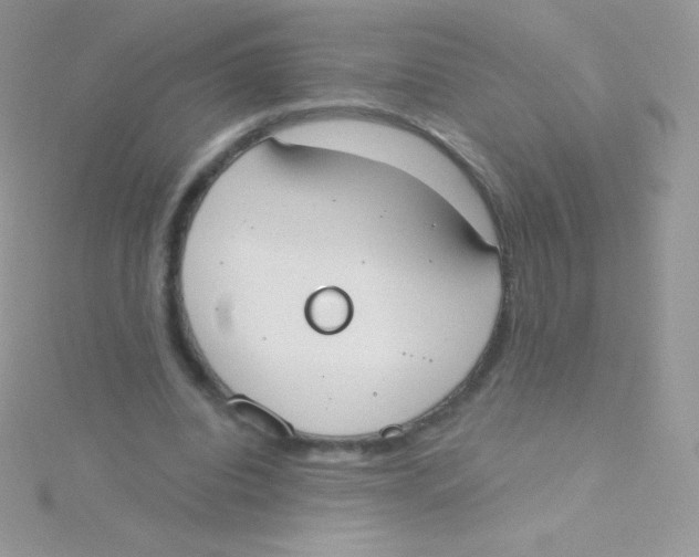 X0000115050440200911231157