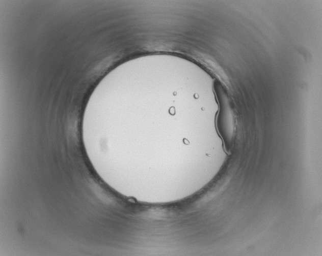 X0000115050441200911231157