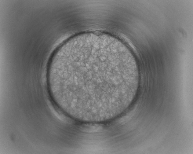 X0000115050443200911231157