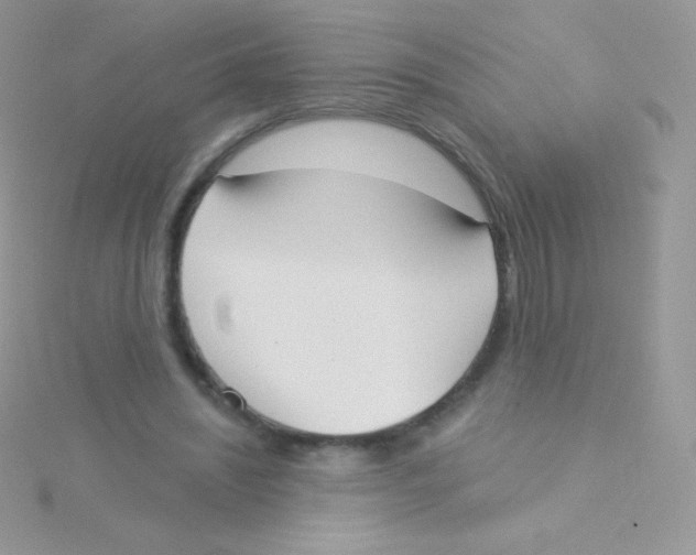 X0000115050444200911231157