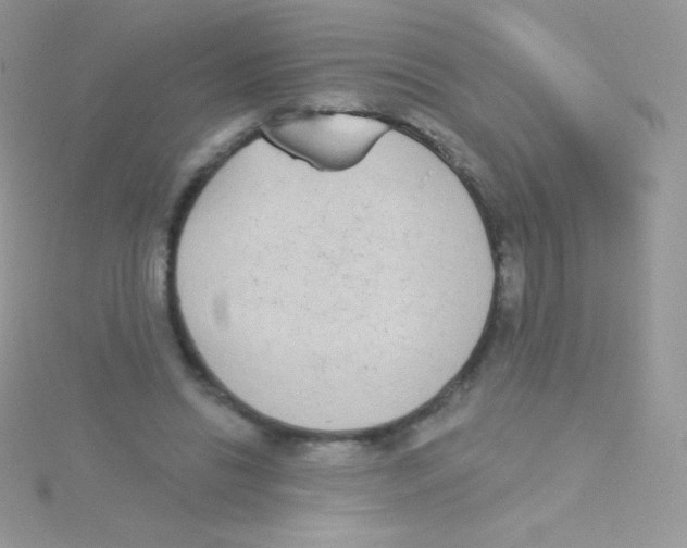 X0000115050446200911231157