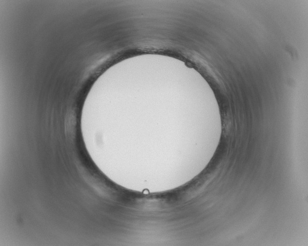 X0000115050448200911231157