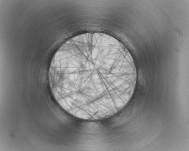 X0000115050449200911231157