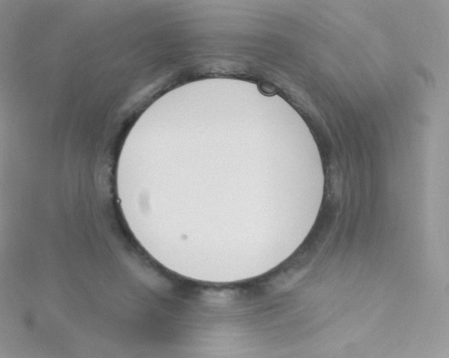 X0000115050450200911231157