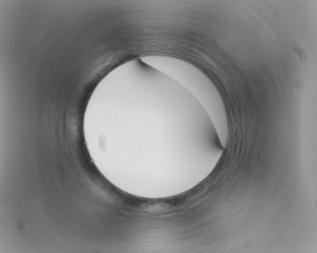 X0000115050452200911231157