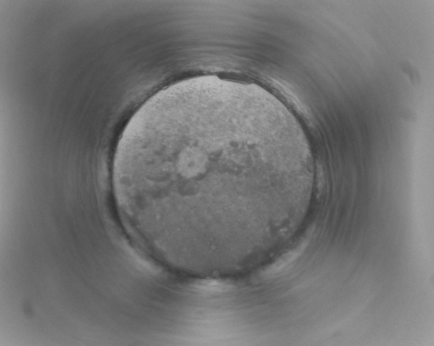 X0000115050453200911231157