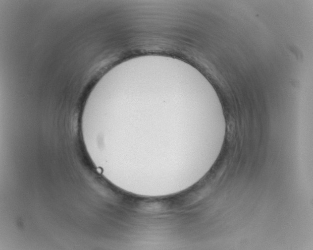 X0000115050454200911231157