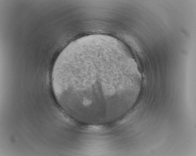 X0000115050457200911231157