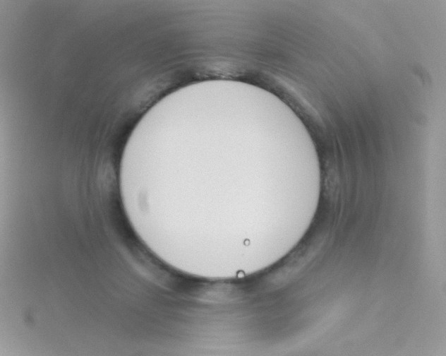 X0000115050459200911231157