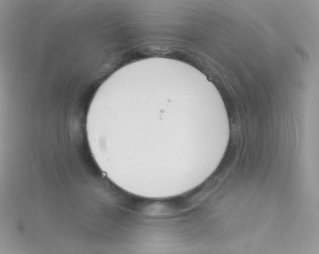 X0000115050460200911231157