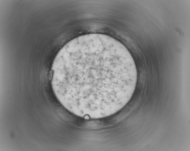 X0000115050461200911231157