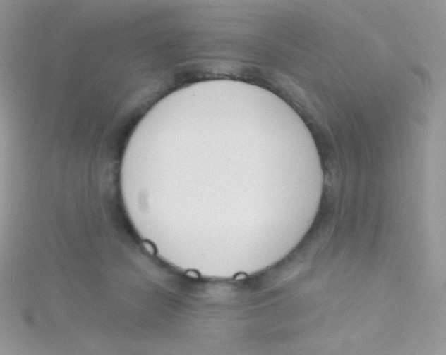 X0000115050462200911231157