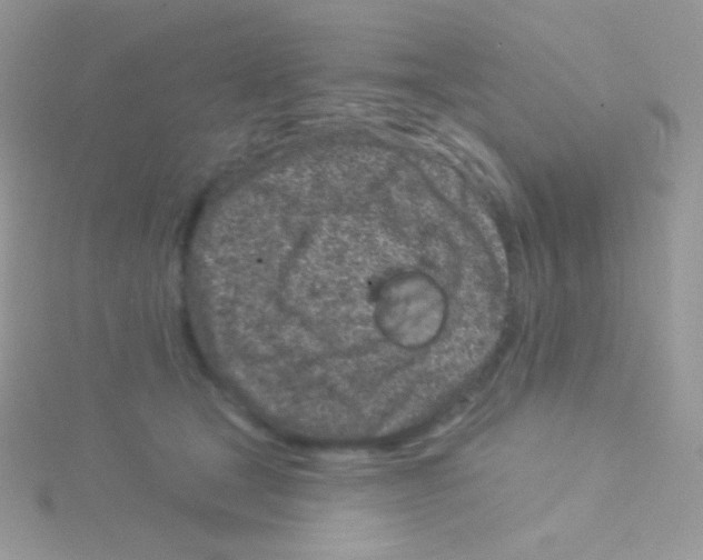 X0000115050465200911231157