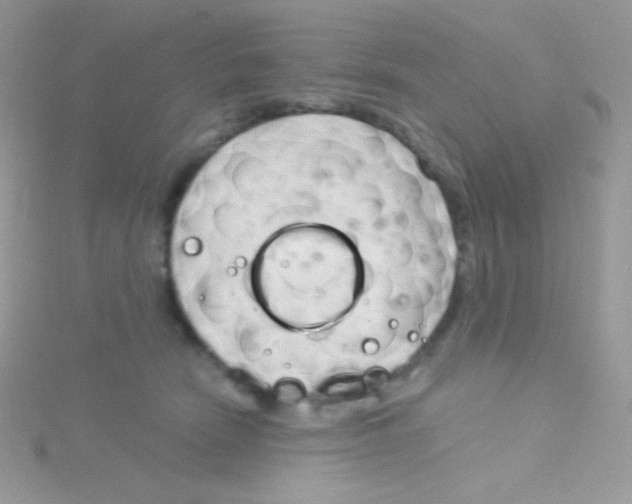 X0000115050466200911231157