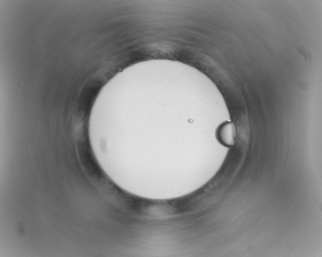 X0000115050468200911231157