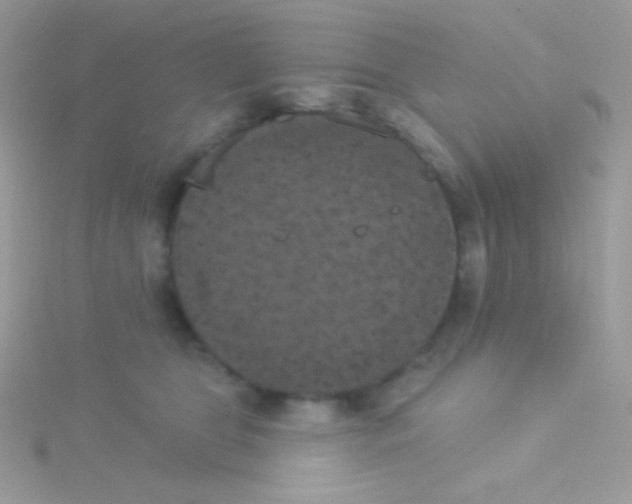 X0000115050469200911231157