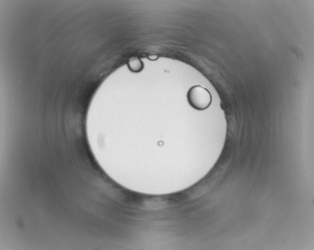 X0000115050470200911231157