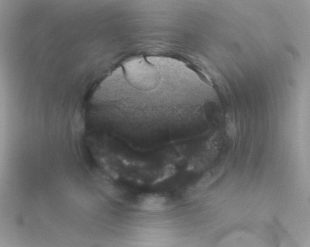 X0000115050471200911231157