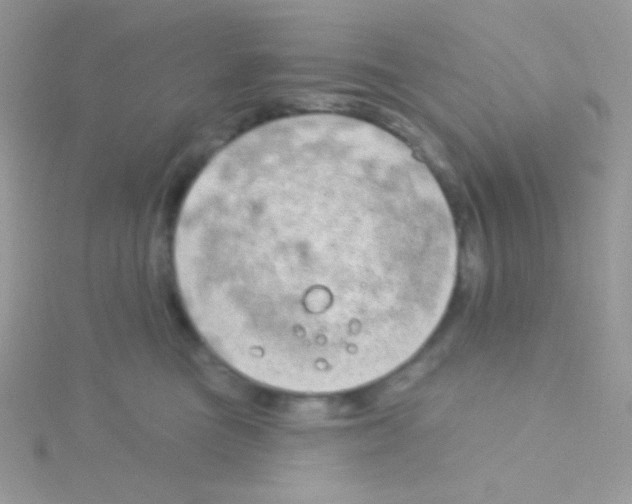 X0000115050473200911231157