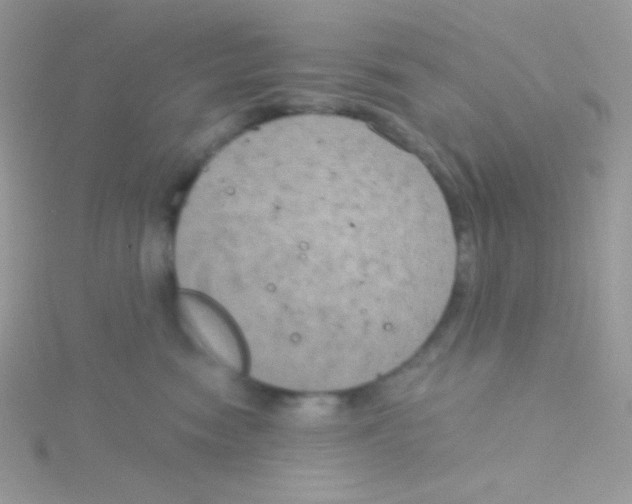 X0000115050474200911231157