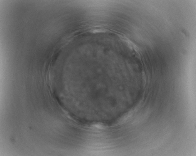 X0000115050475200911231157