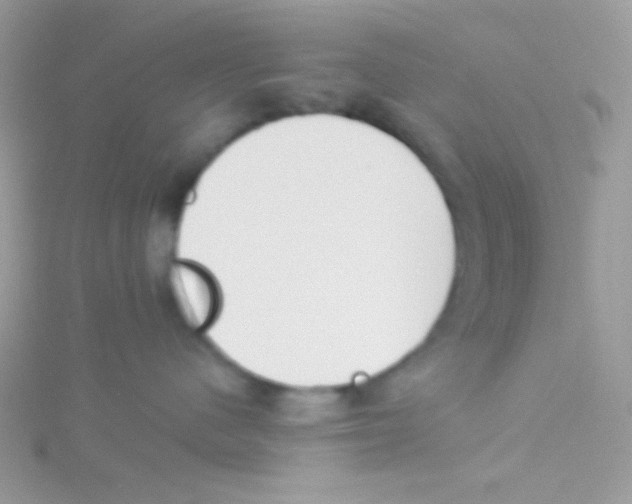 X0000115050480200911231157