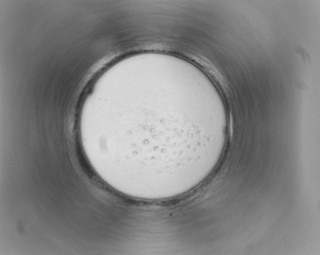 X0000115050483200911231157