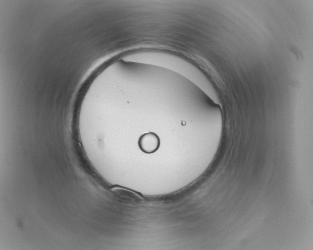 X0000115050484200911231157