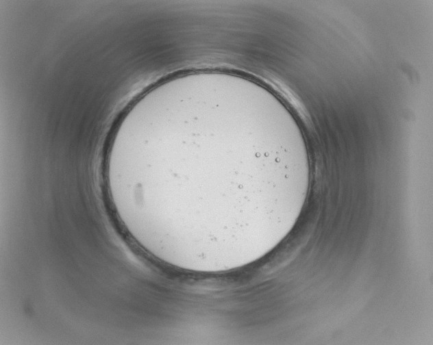 X0000115050485200911231157