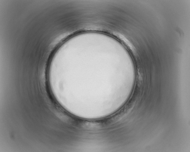 X0000115050487200911231157