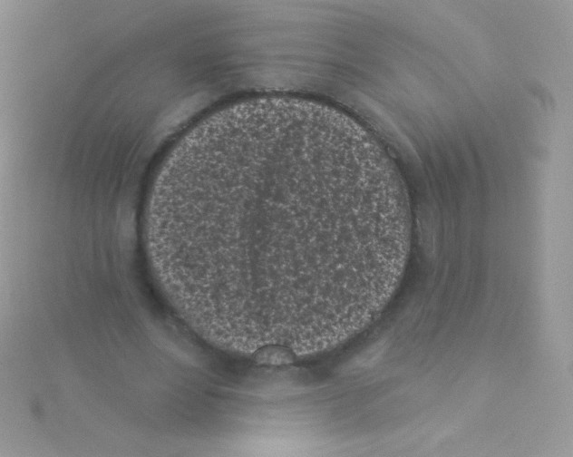 X0000115050488200911231157